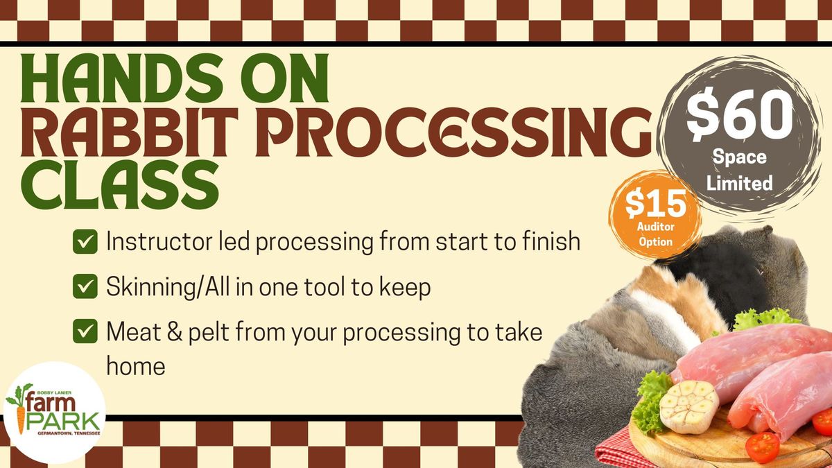 Rabbit Processing Class