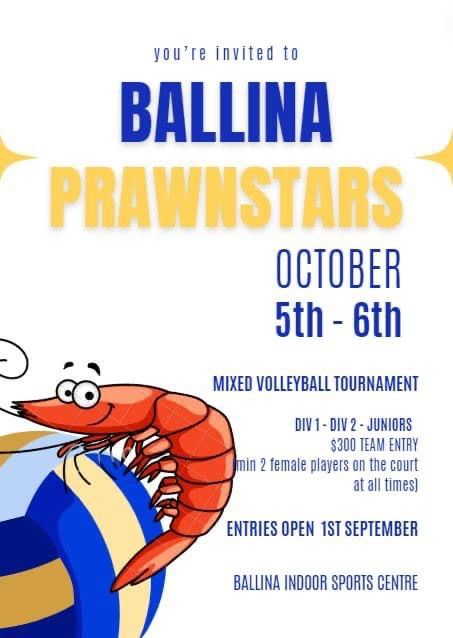 Ballina Prawnstars Mixed Volleyball Tournament