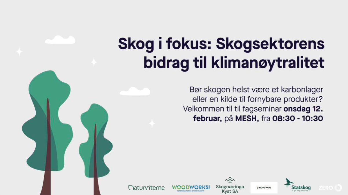 Hva skal skogen brukes til?