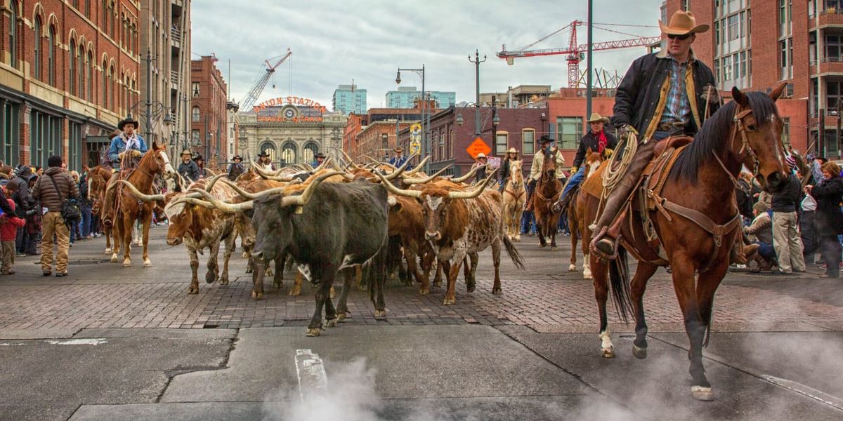 National Western Stock Show at Denver Coliseum