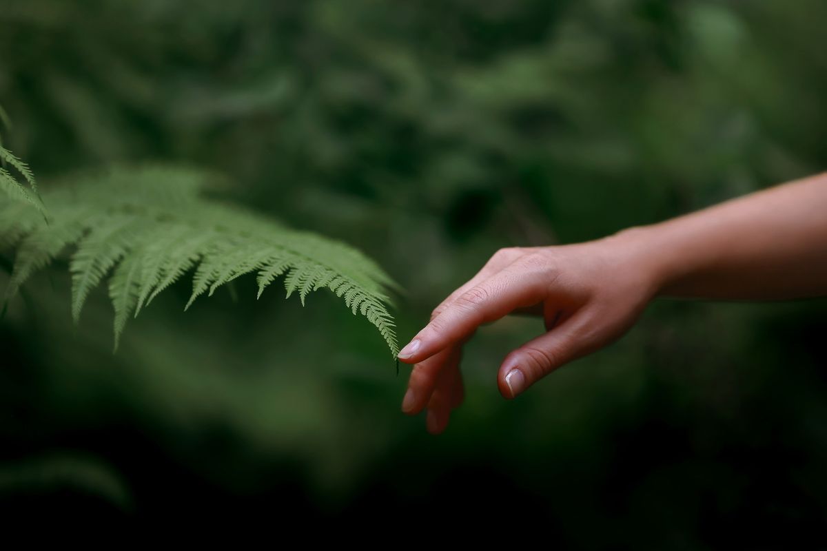 July Healing Circle