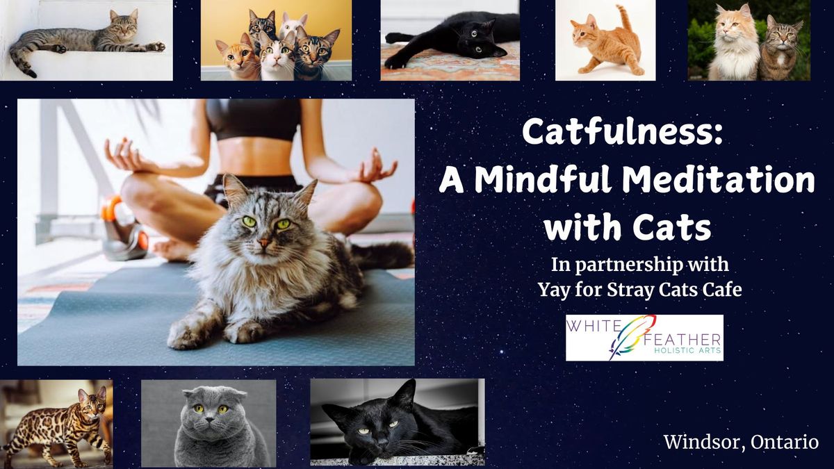 Catfulness - A Mindful Meditation & Healing With Cats