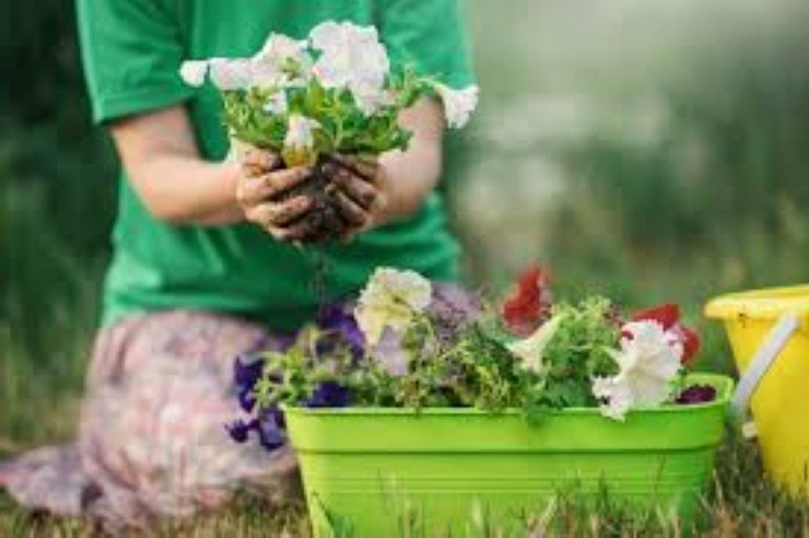 Container Gardening