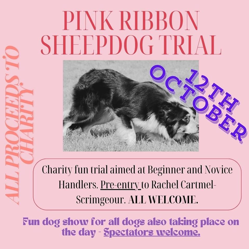 Pink Ribbon New Handler and Novice Trial 