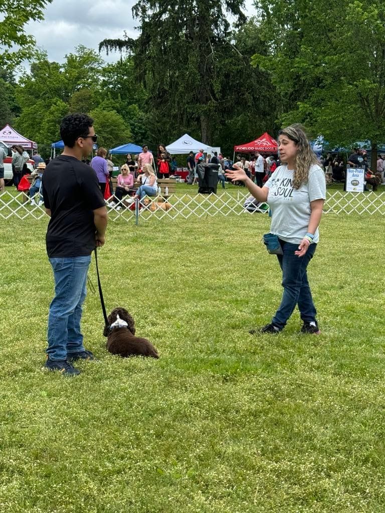 Pop-Up Paws Training Session- Lesson V