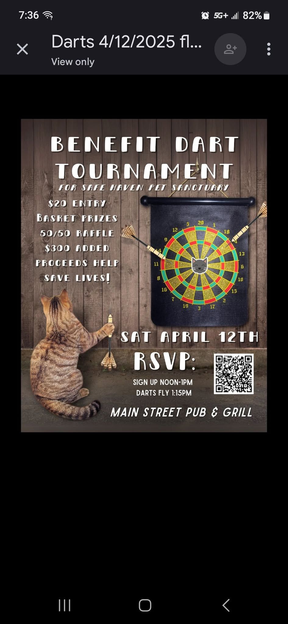 2nd annual Safe Haven Sanctuary benefit dart tournament 