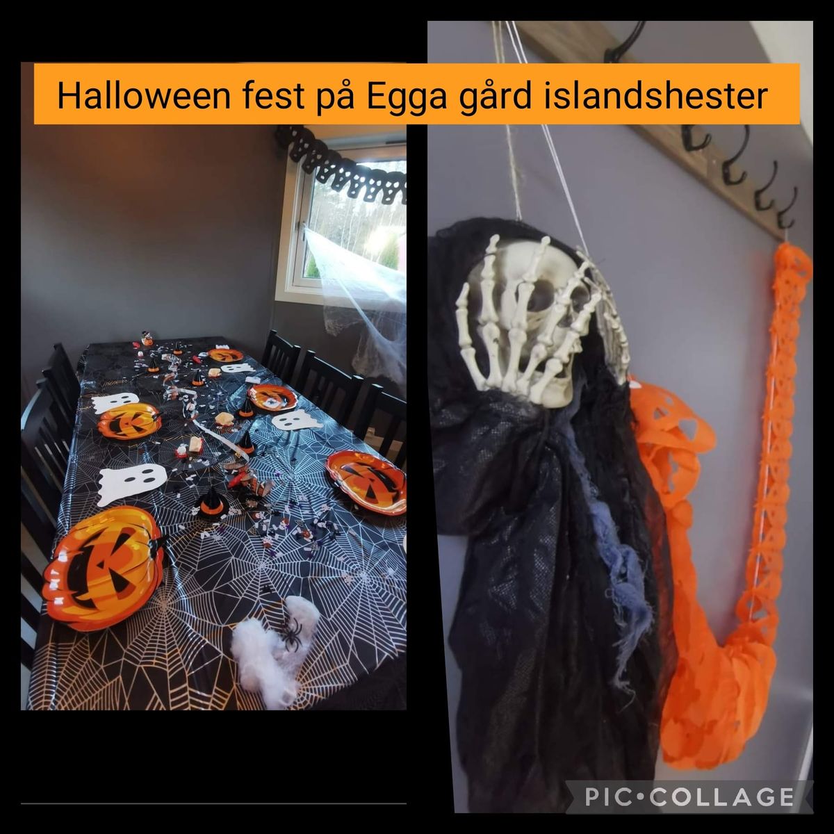 Halloween fest p\u00e5 Egga g\u00e5rd islandshester 