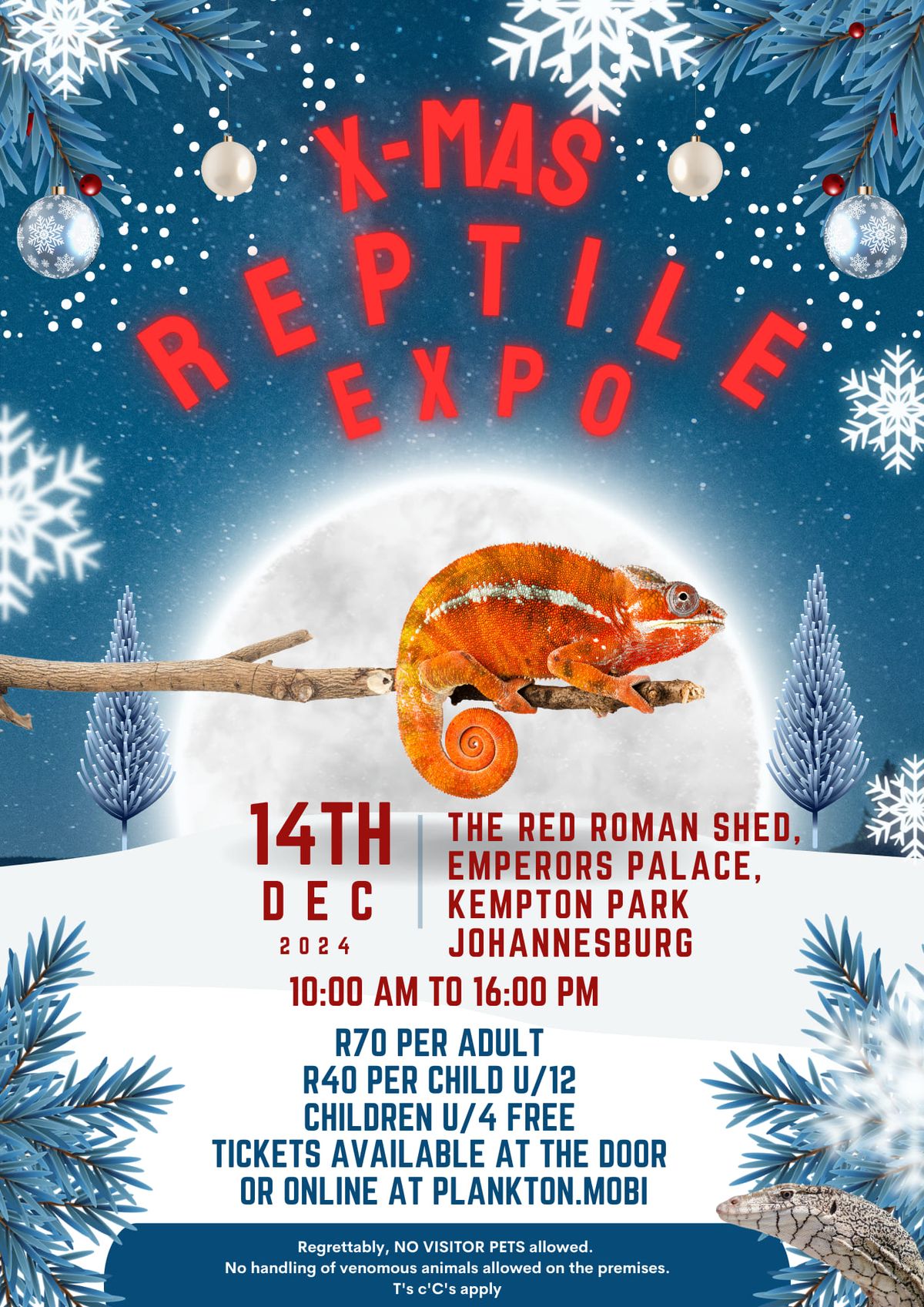 Xmas Reptile Expo