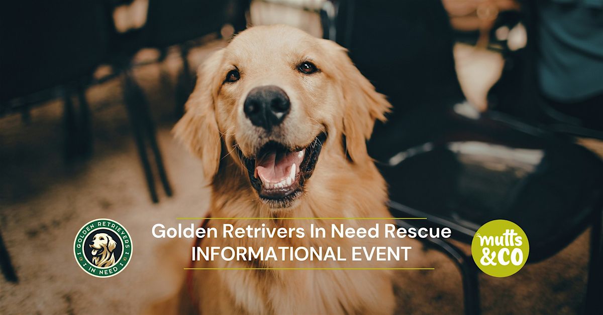Golden Retrievers In Need Informational Popup! (German Village)