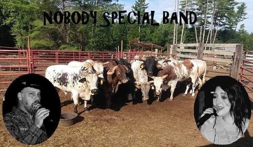 Nobody Special Band at Painted Pony Rodeo, Painted Pony Championship ...