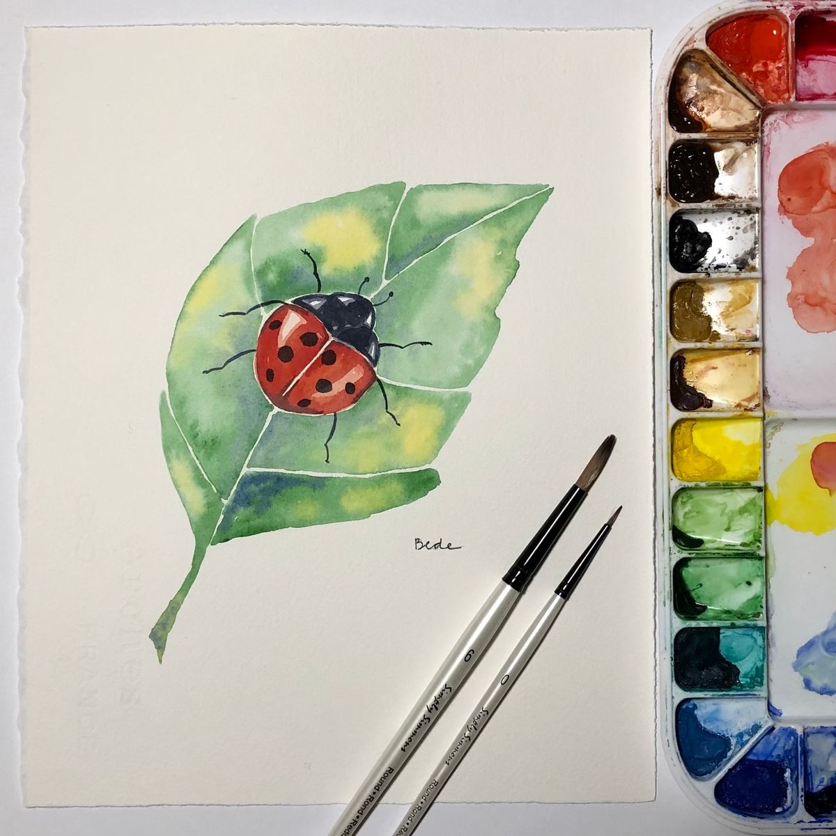 Watercolor Workshop: Ladybug