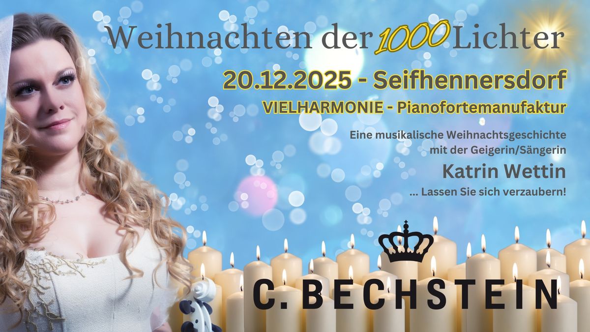 VielHarmonie - Pianofortemanufaktur - Seifhennersdorf