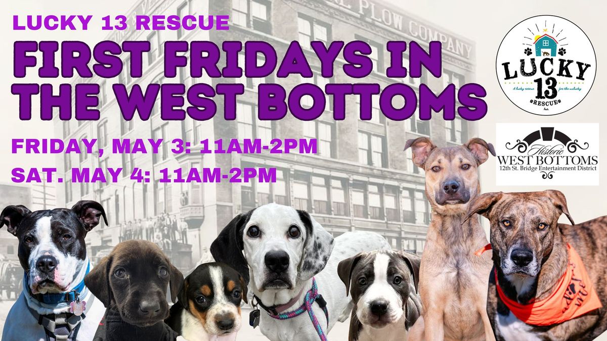 Lucky 13 Rescue Adoption Event in the Historic West Bottoms 