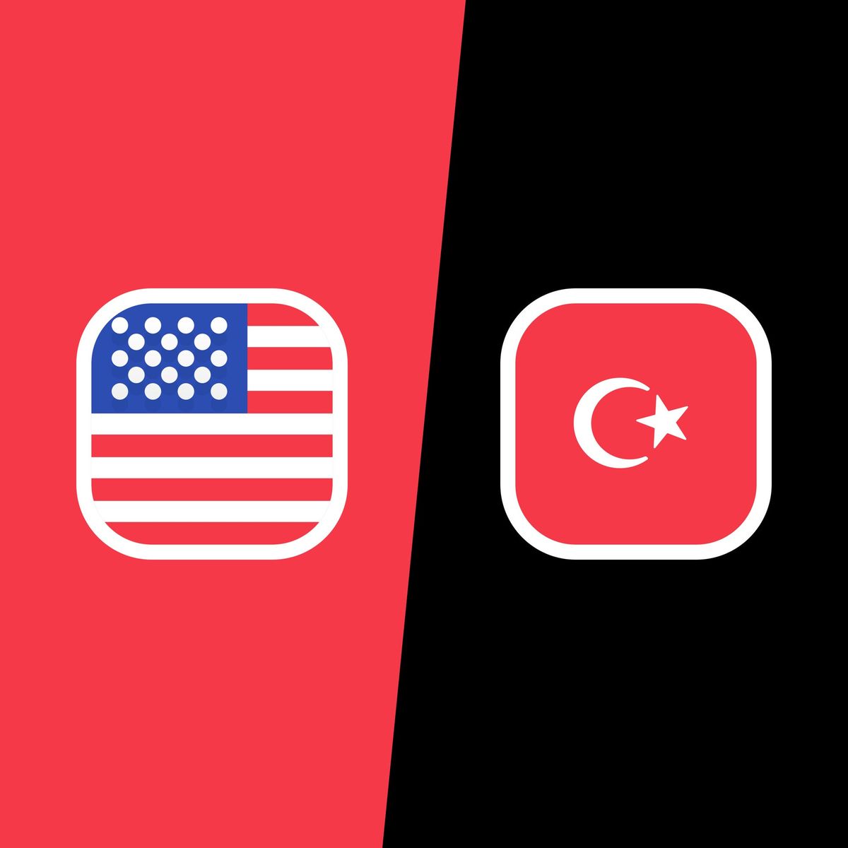 USA vs Turkey - World Cup - Match 59 (Group D)