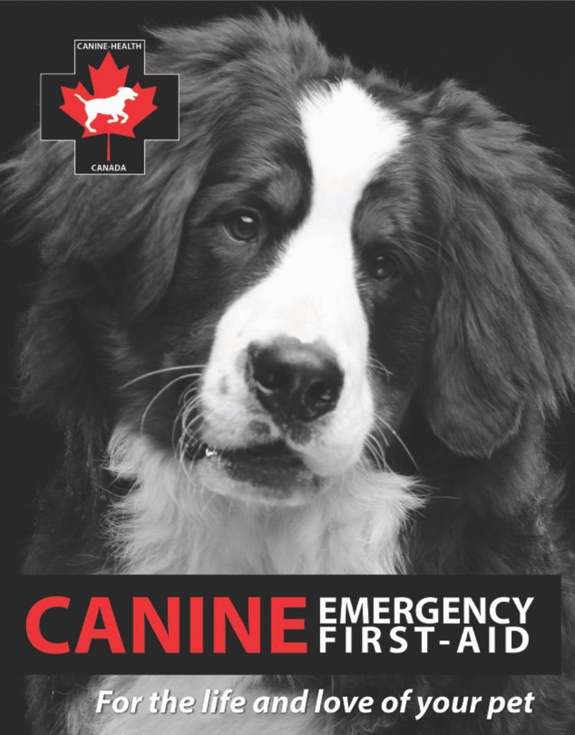 Canine CPR and First Aid