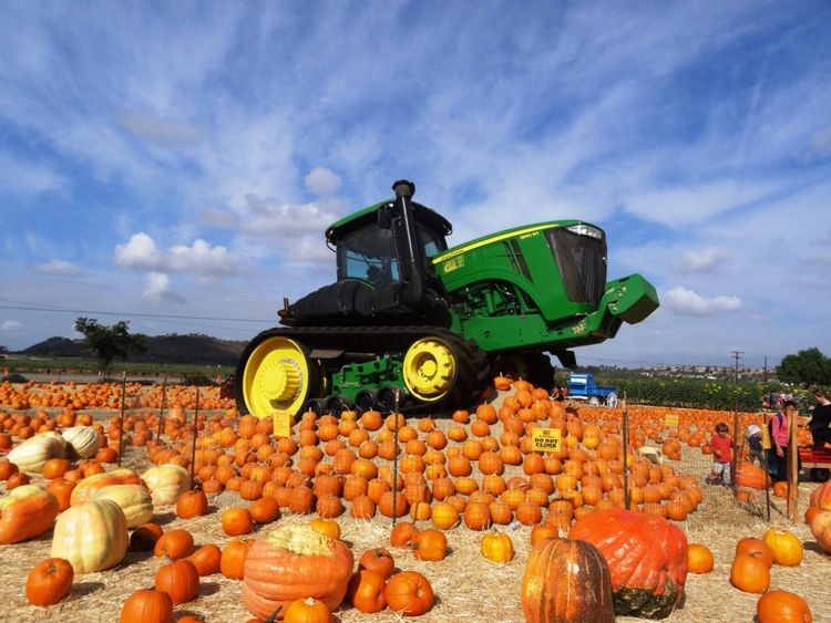 Annual Harvest Festival 2024