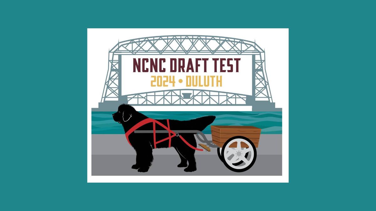 NCA 2024 National Specialty Draft Test