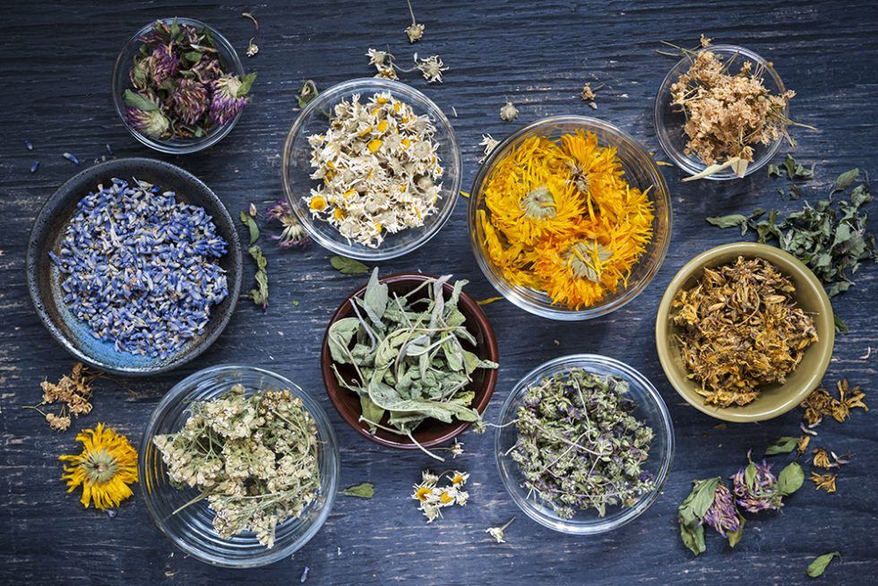 Herbal Make and Take: Sleep Support