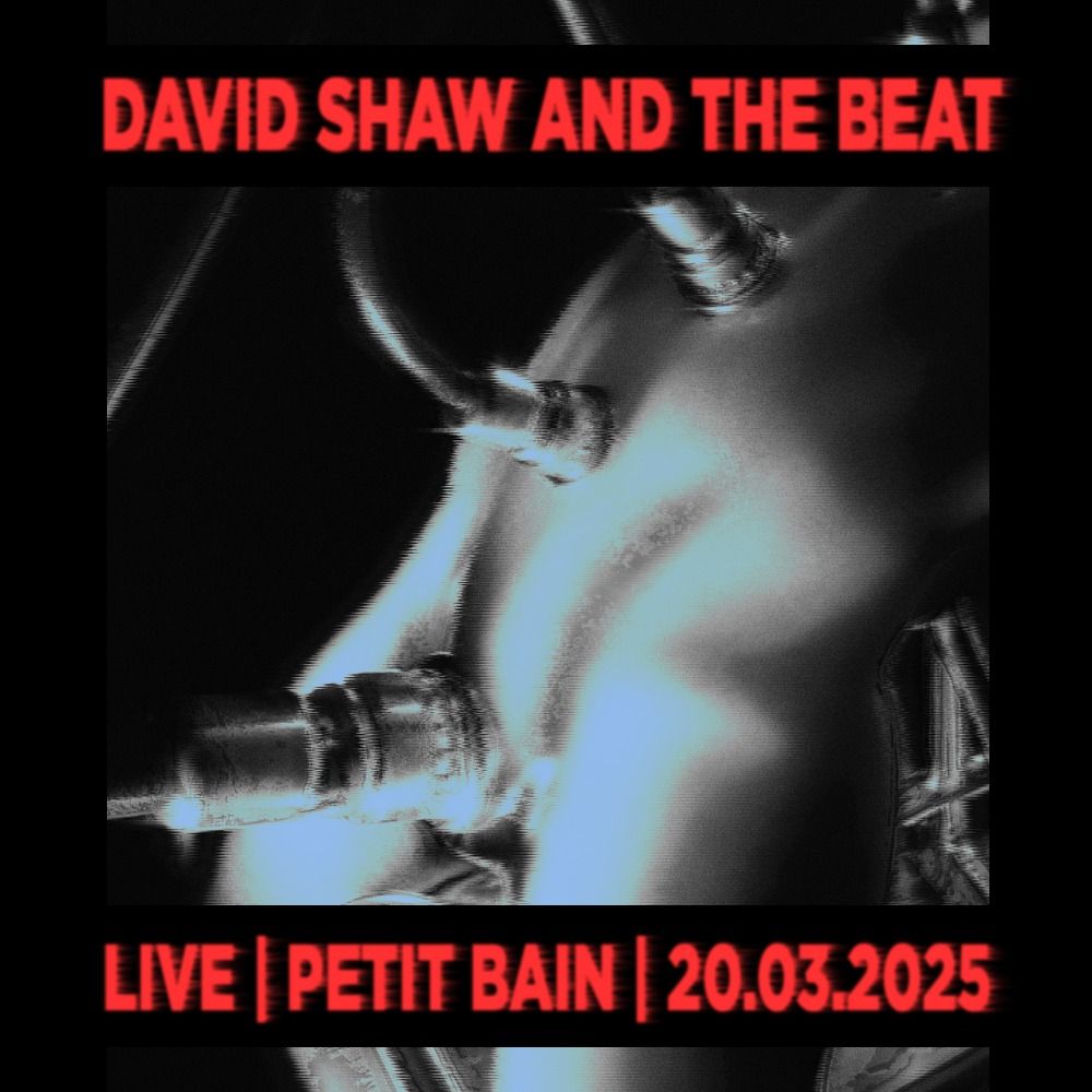 David Shaw And The Beat LIVE @ Petit Bain - 20.03.2025