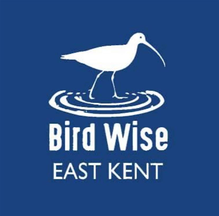 Margate Cemetry National Tree Week Guided Walk