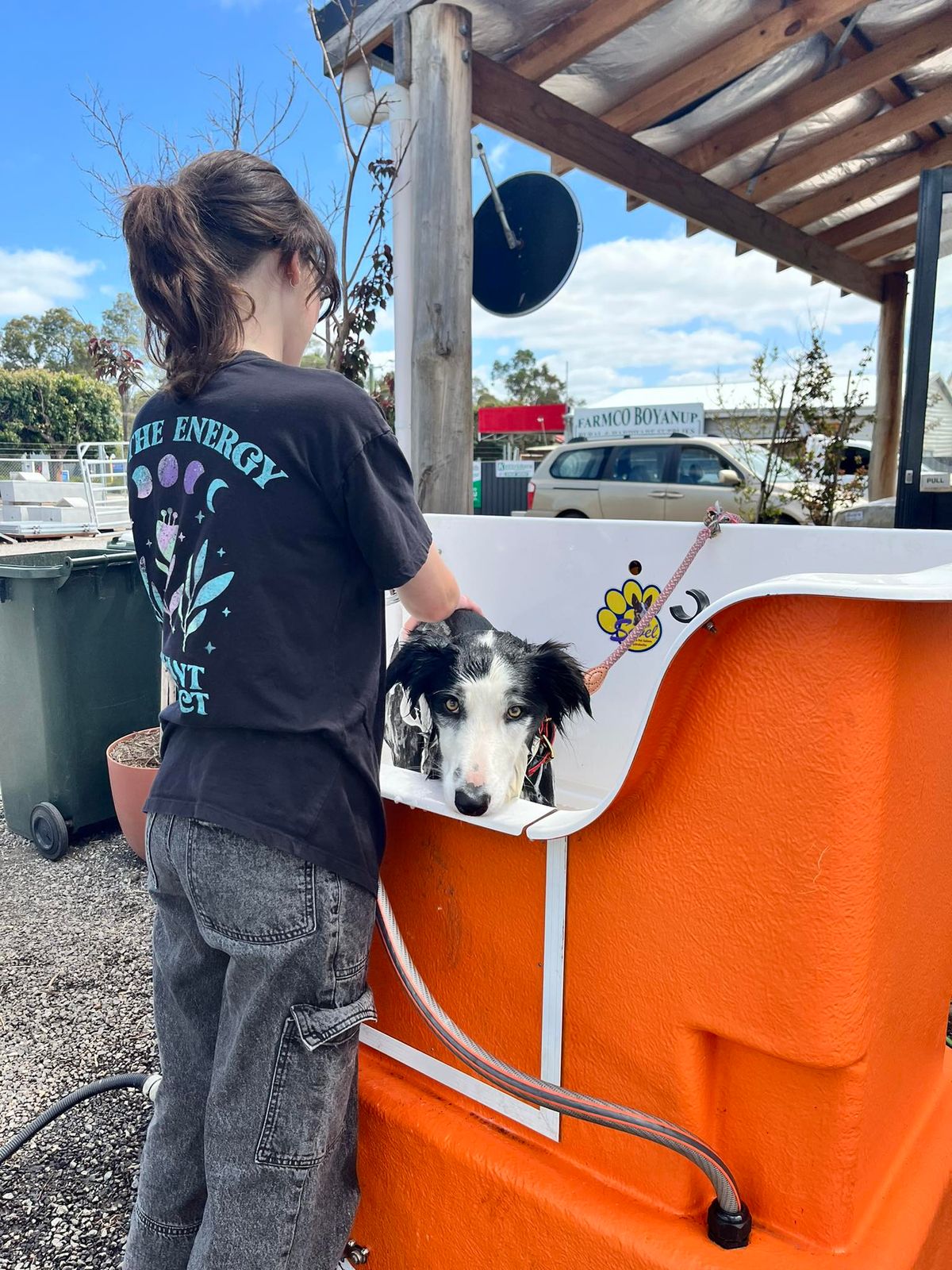 Dog Wash - Farmco Boyanup