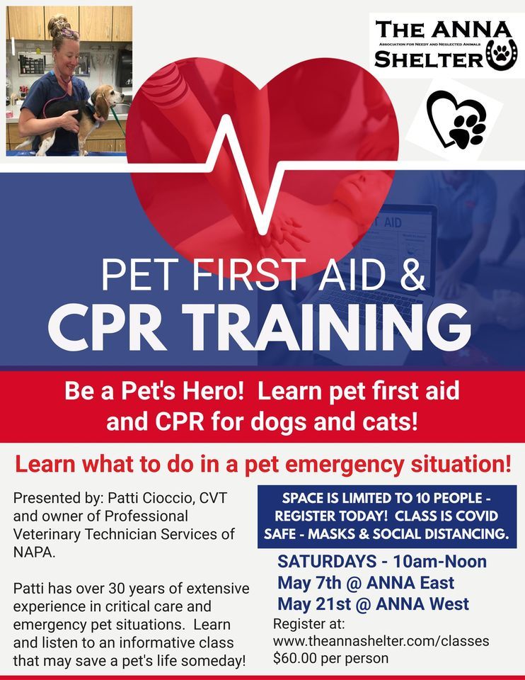 Pet First Aid and CPR Class