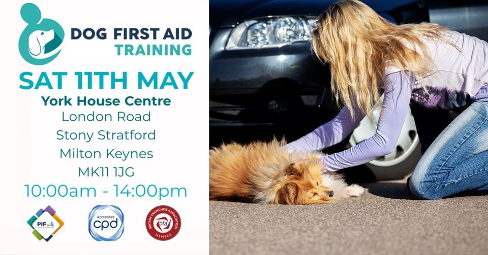 Stony Stratford - Milton Keynes Dog First Aid Course \ud83d\udc3e\u2764\ufe0f\u200d\ud83e\ude79