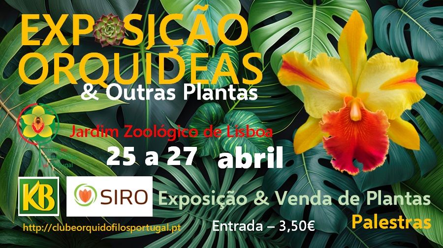 Exposi\u00e7\u00e3o Orqu\u00eddeas e Outras Plantas