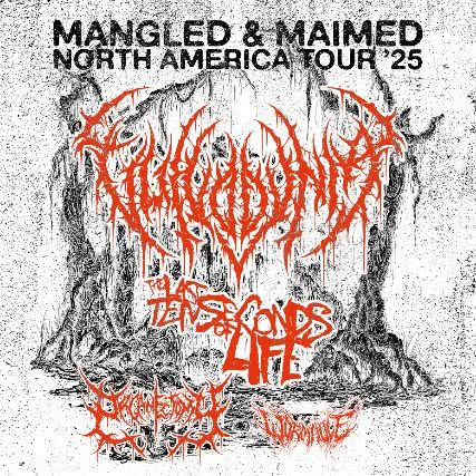 Vulvodynia, The Last Ten Seconds Of Life, Organectomy, Wormhole