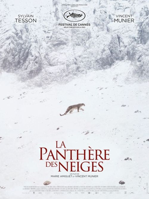 Projection du film : La panth\u00e8re des neiges