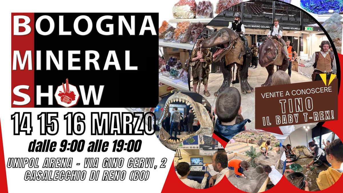 Bologna Mineral Show 2025