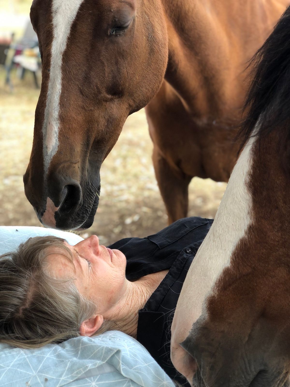 Find Your Centre - movement, breath, meditation & the healing power of horses