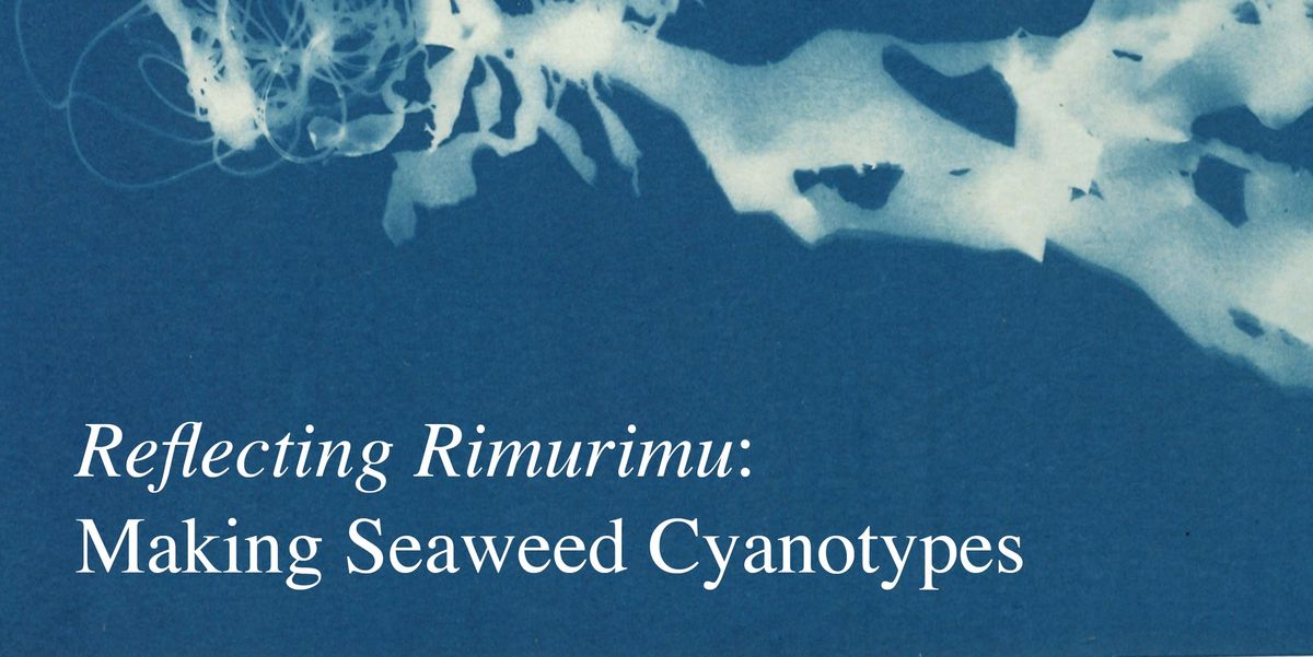 Reflecting Rimurimu: Making Seaweed Cyanotypes