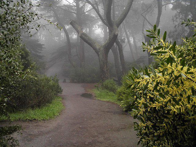 Haunted Hike at Buena Vista Park