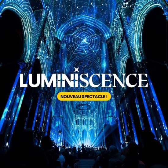 LUMINISCENCE - Cath\u00e9drale de Bordeaux : Histoire, Vid\u00e9o Mapping 360\u00b0 et Musique Live