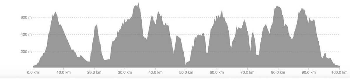 12 (ish) Peaks of Christmas