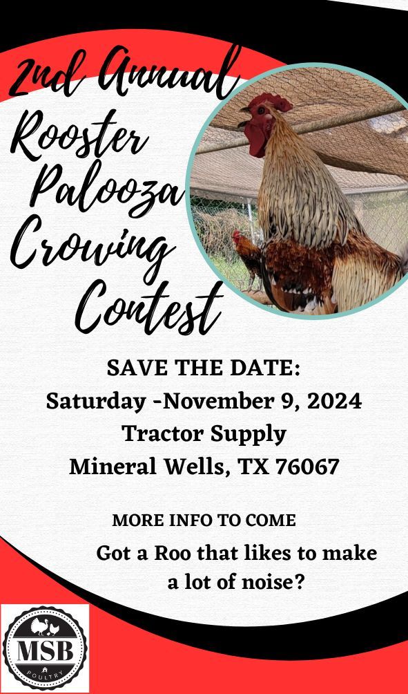 Rooster Palooza - Crowing Contest - Chicken Only 