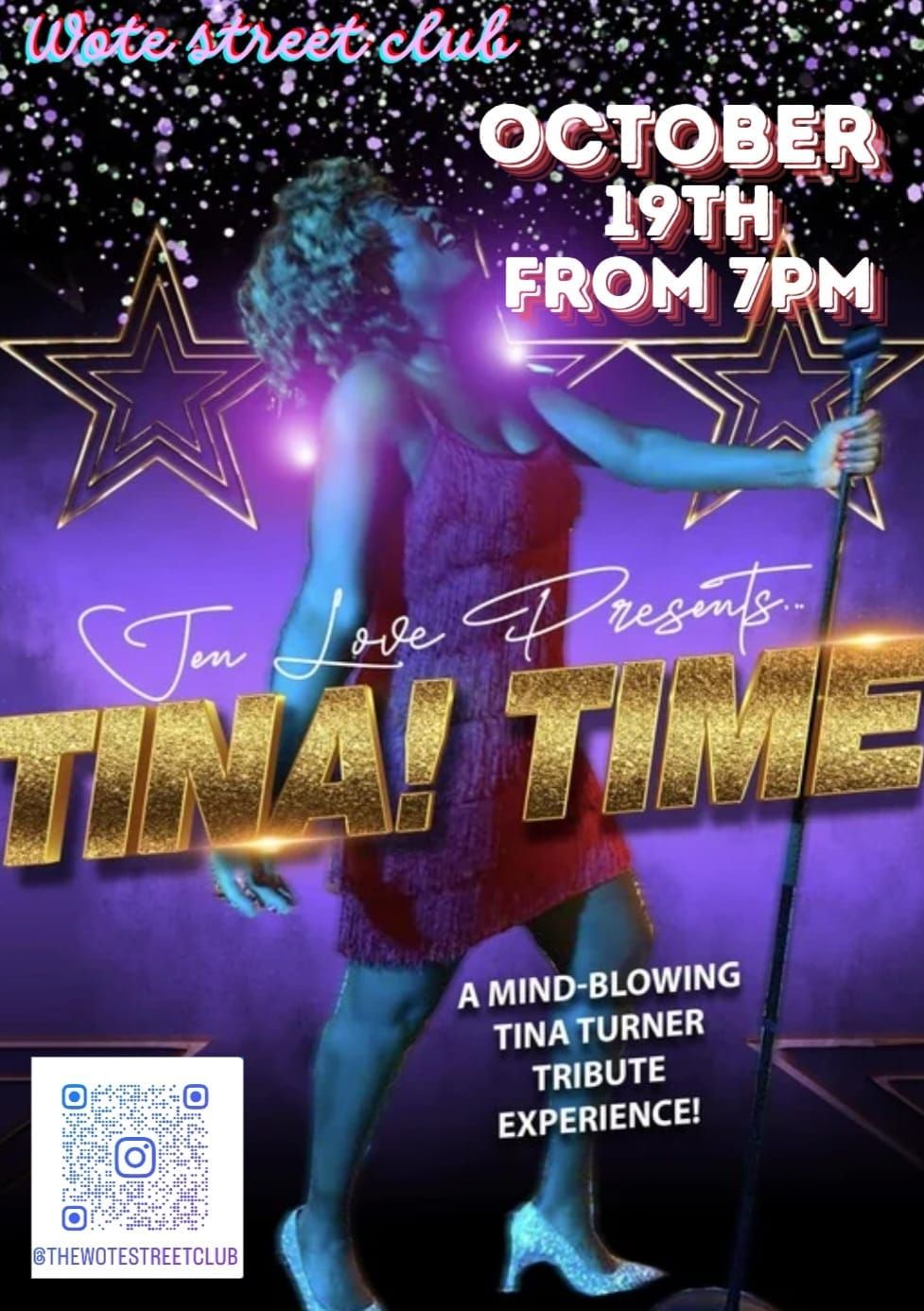 Tina Turner Tribute 