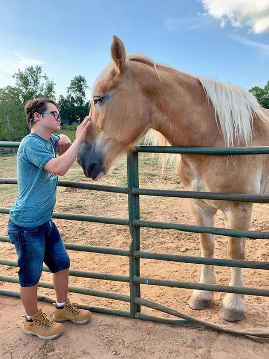 Trinity Stables Horses Healing Hearts GRAND Re-Opening., Trinity ...