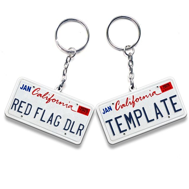 Car Dealer Finance 101 Sacramento Red Flag Training & Template