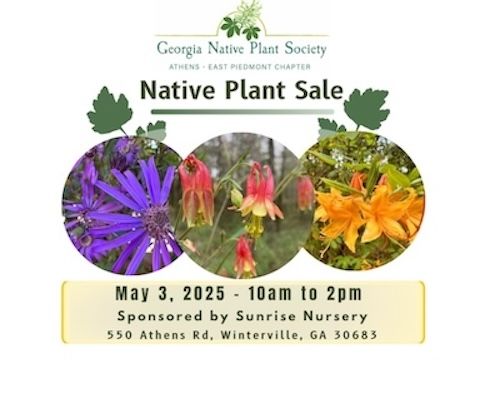 2nd Annual Spring Native Plant Sale 