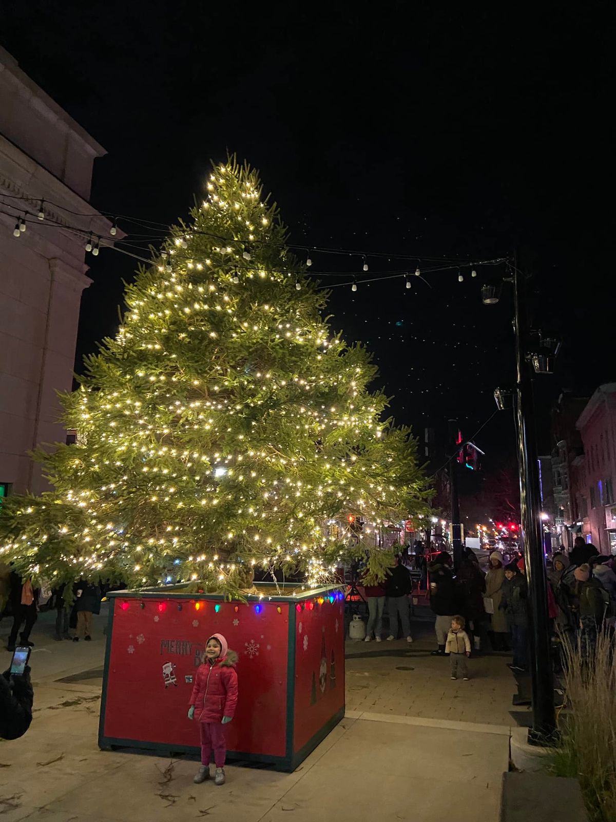 Annual Holiday Tree Lighting and Small Business Saturday Celebration