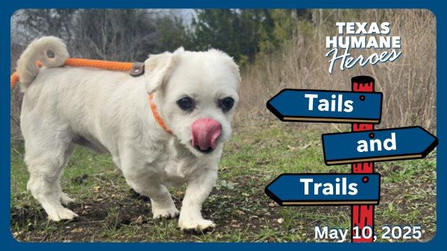 Tails & Trails