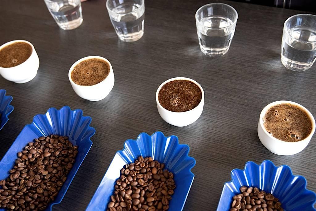 Explorez les Saveurs du Caf\u00e9 de sp\u00e9cialit\u00e9: Atelier de d\u00e9gustation- Cupping