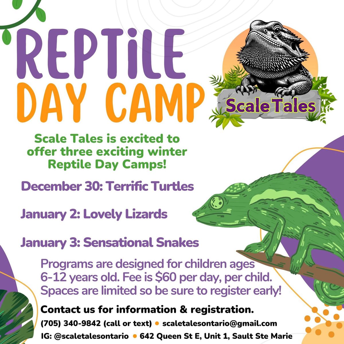 Holiday Reptile Camp