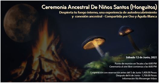 Ceremonia De Ni\u00f1os Santos (Honguitos) \u00a1Descubre Tu Fuego Interno!