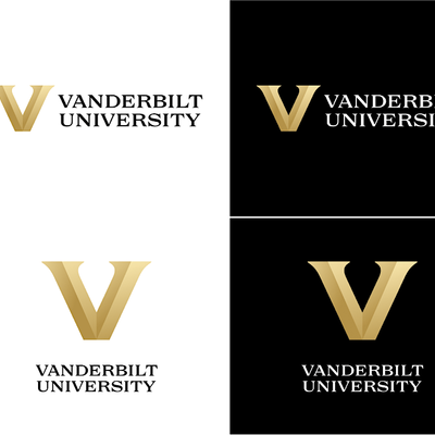 Vanderbilt DMV Parents