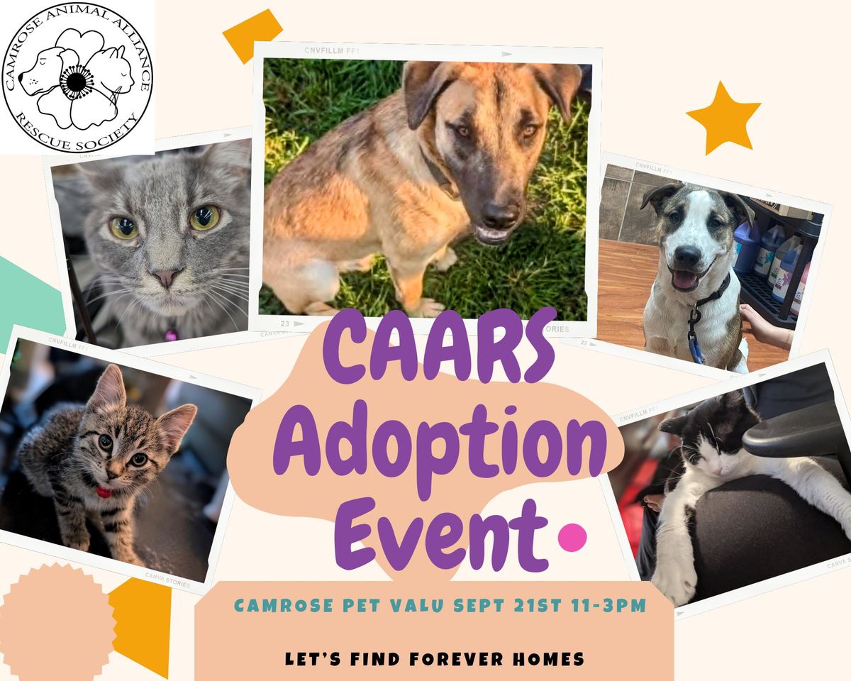 CAARS Adoption Event with Camrose Pet Vau