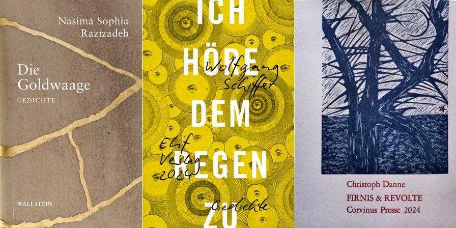 Neue Lyrik: Wolfgang Schiffer, Nasima Sophia Razizadeh, Christoph Danne 