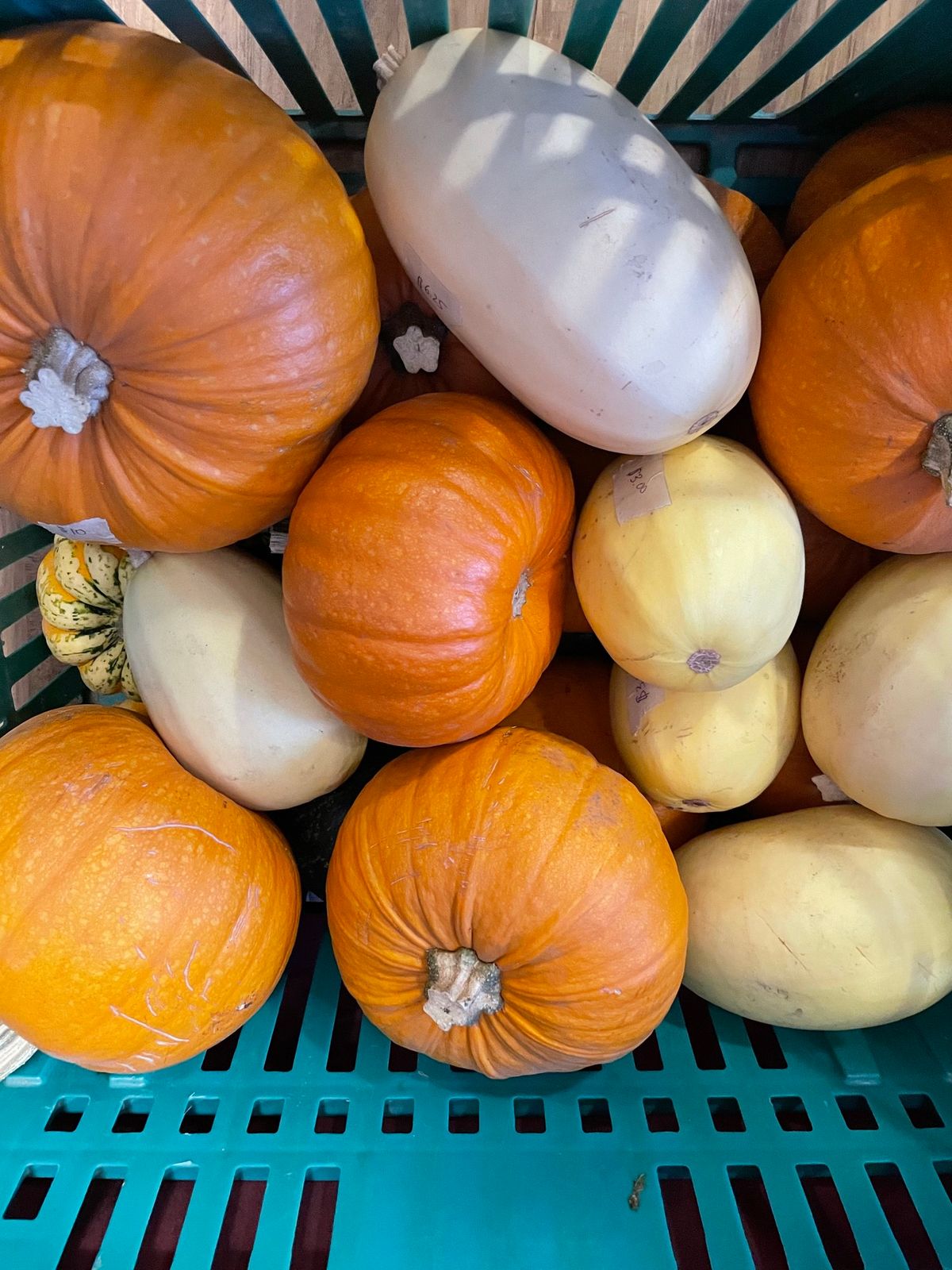 Pop Up Farmers Market 